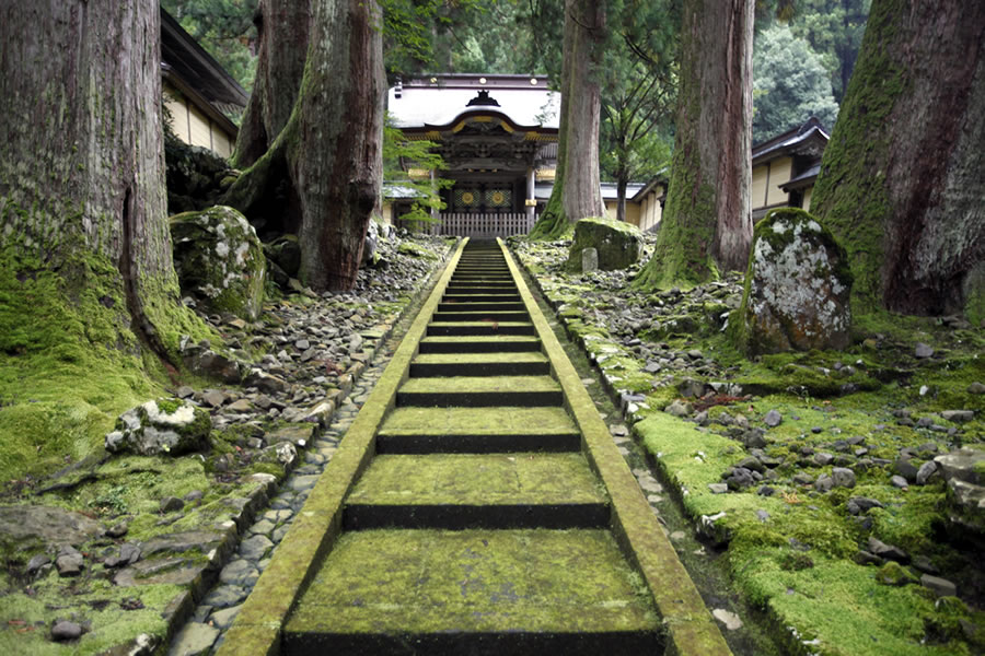 Eiheiji temple - Reuters - Steve Jobs