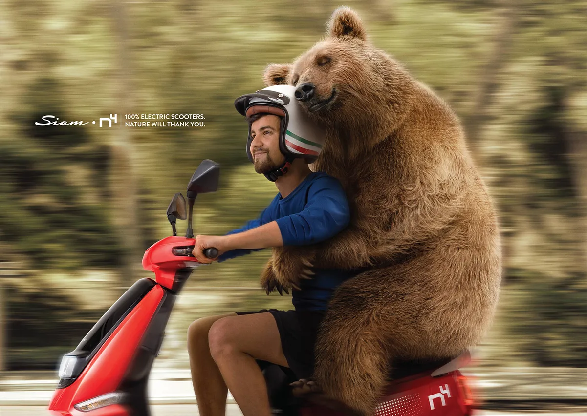 The Road Ahead and a Loving Animal Friend Along for the Ride - New ...