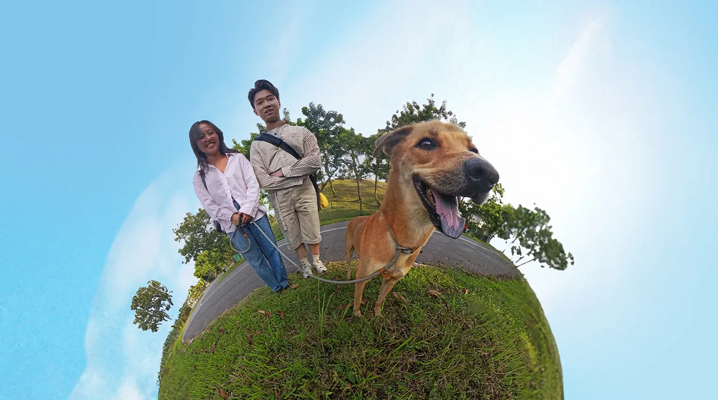 A Walk with Singapore’s Street Dogs: December Weekends with Lovable Rescues