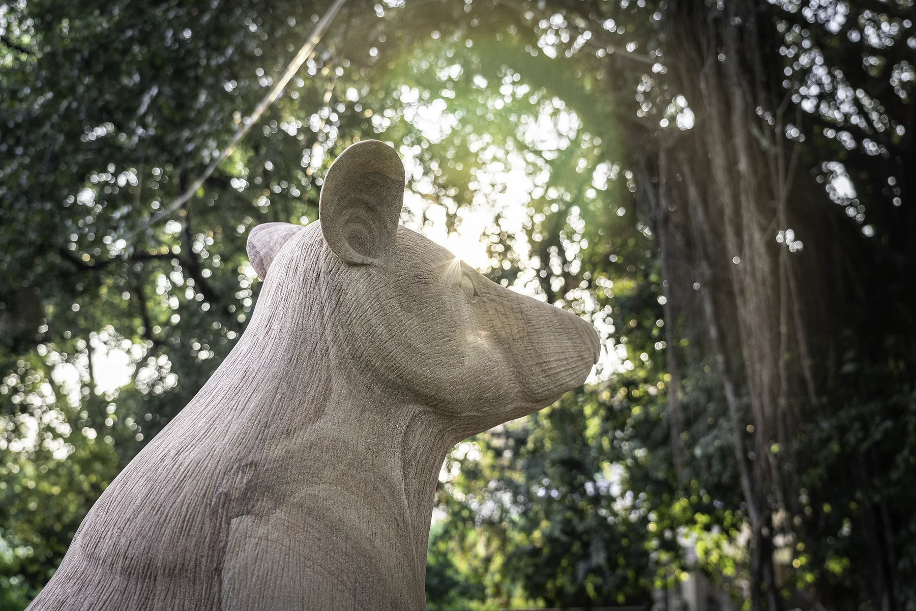 Magawa the Landmine-Detecting Rat Gets a Monument in Cambodia